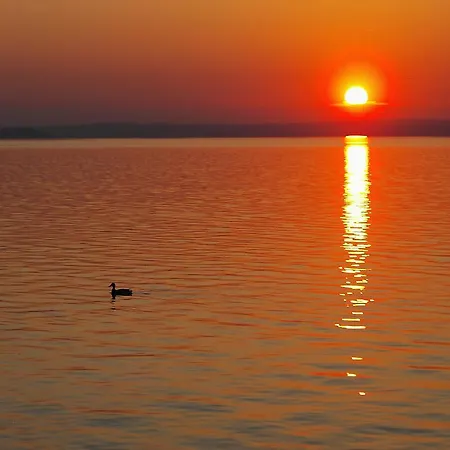 Сasa de vacaciones Koppi Ház