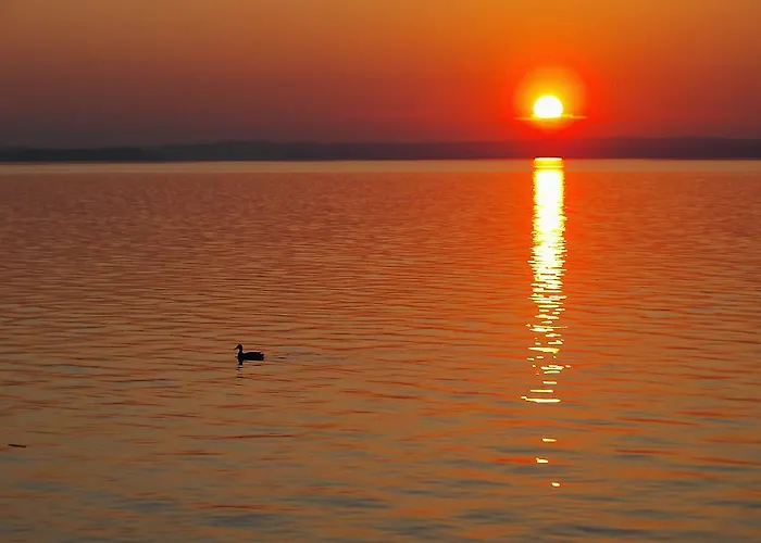 Dom wakacyjny Koppi Haz